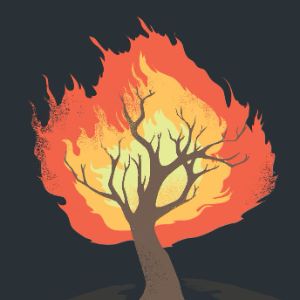 Burning Bushes