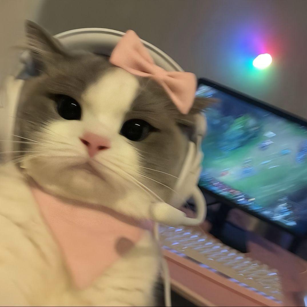 suchka001 avatar