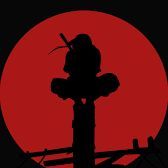 mao666_tm