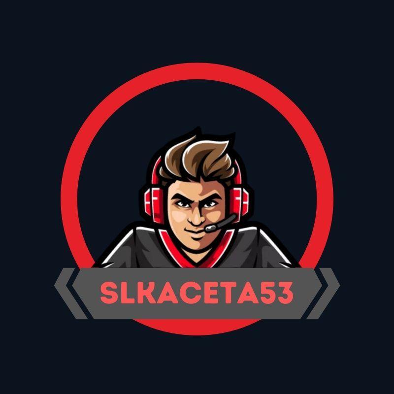 Player Vislkaceta53 avatar