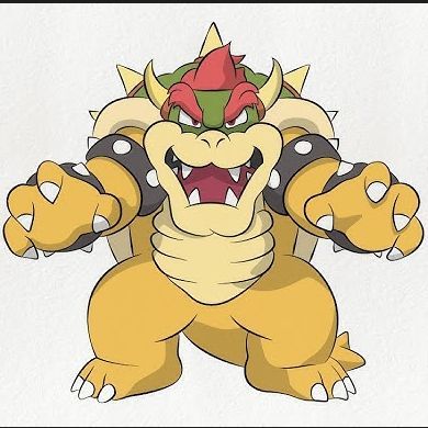 -Bowser