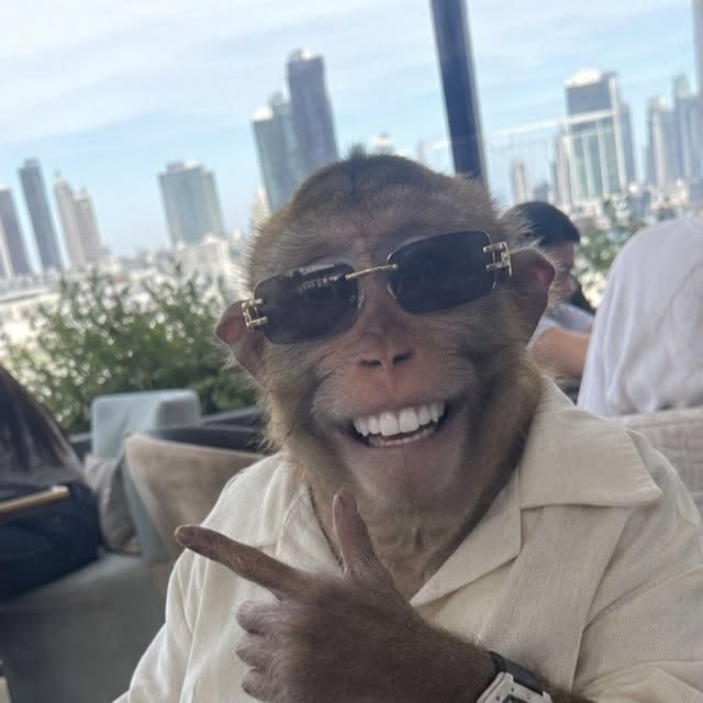 suvbag1