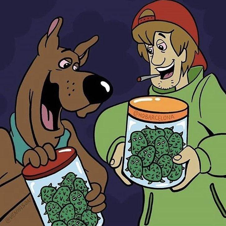 bartkekk avatar