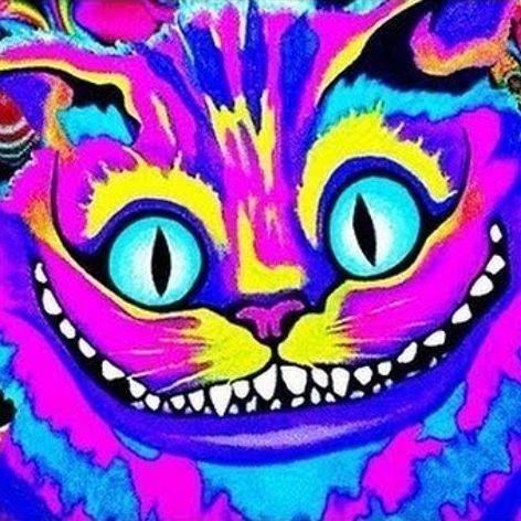 Unberuehrbar avatar
