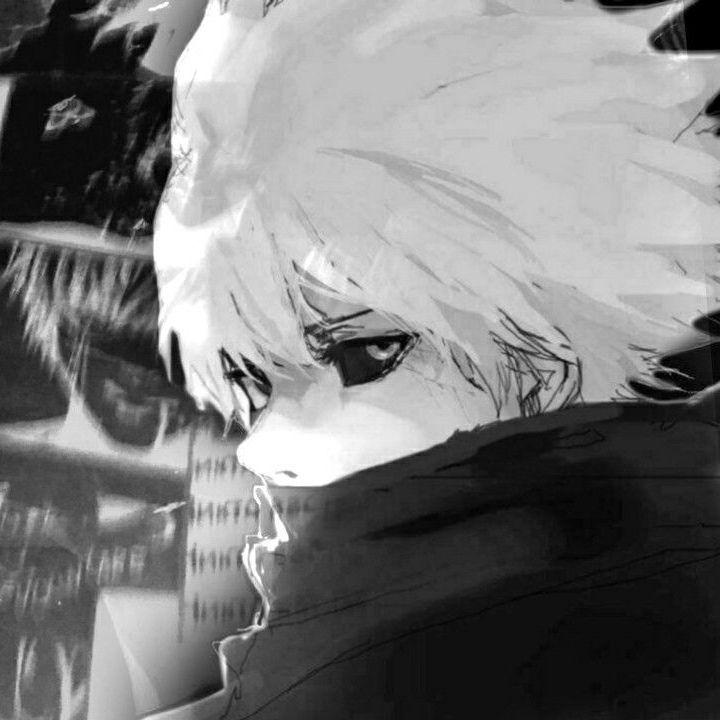 haughty66 avatar