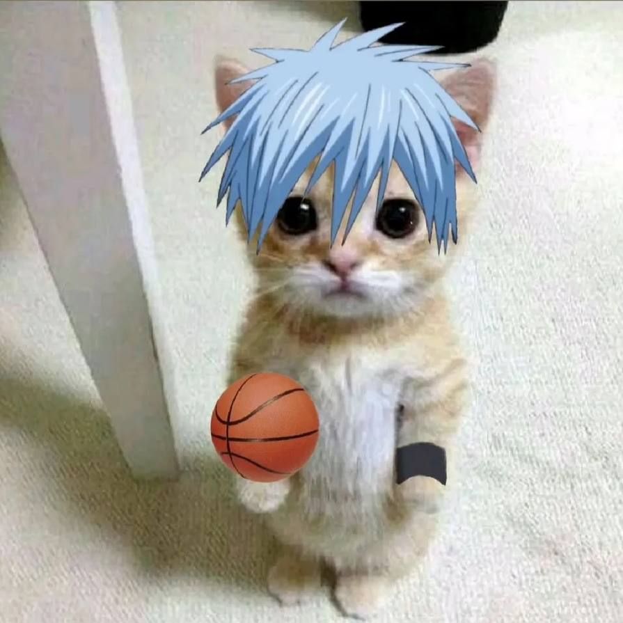 ayatoWWW