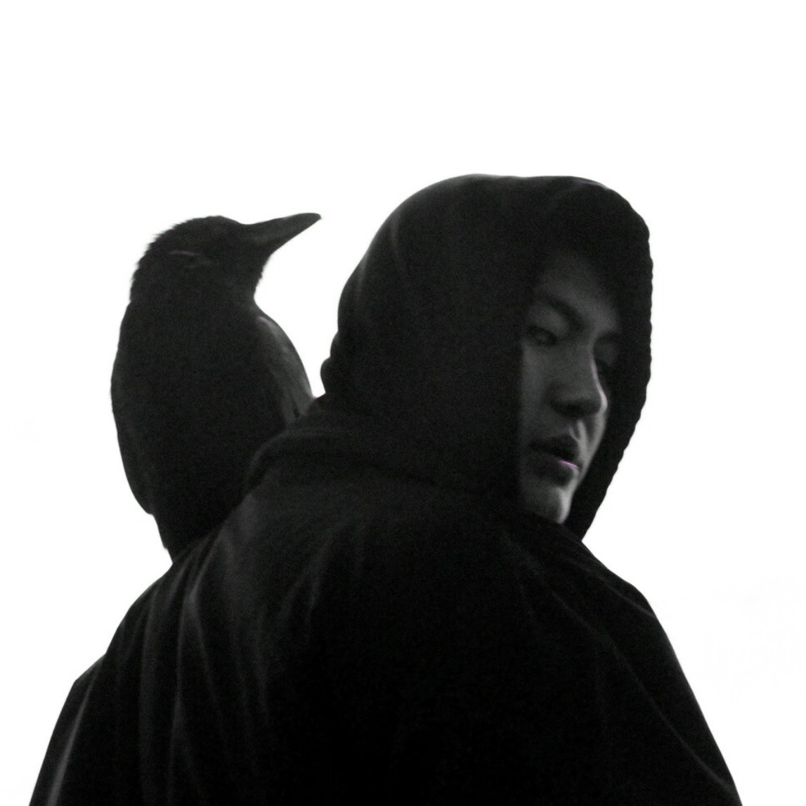 Faceit profile picture for @present
