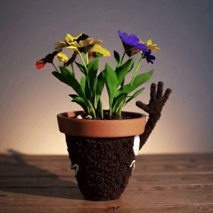 FLOWERPOT avatar
