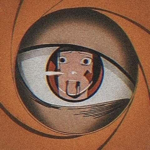 L1chl