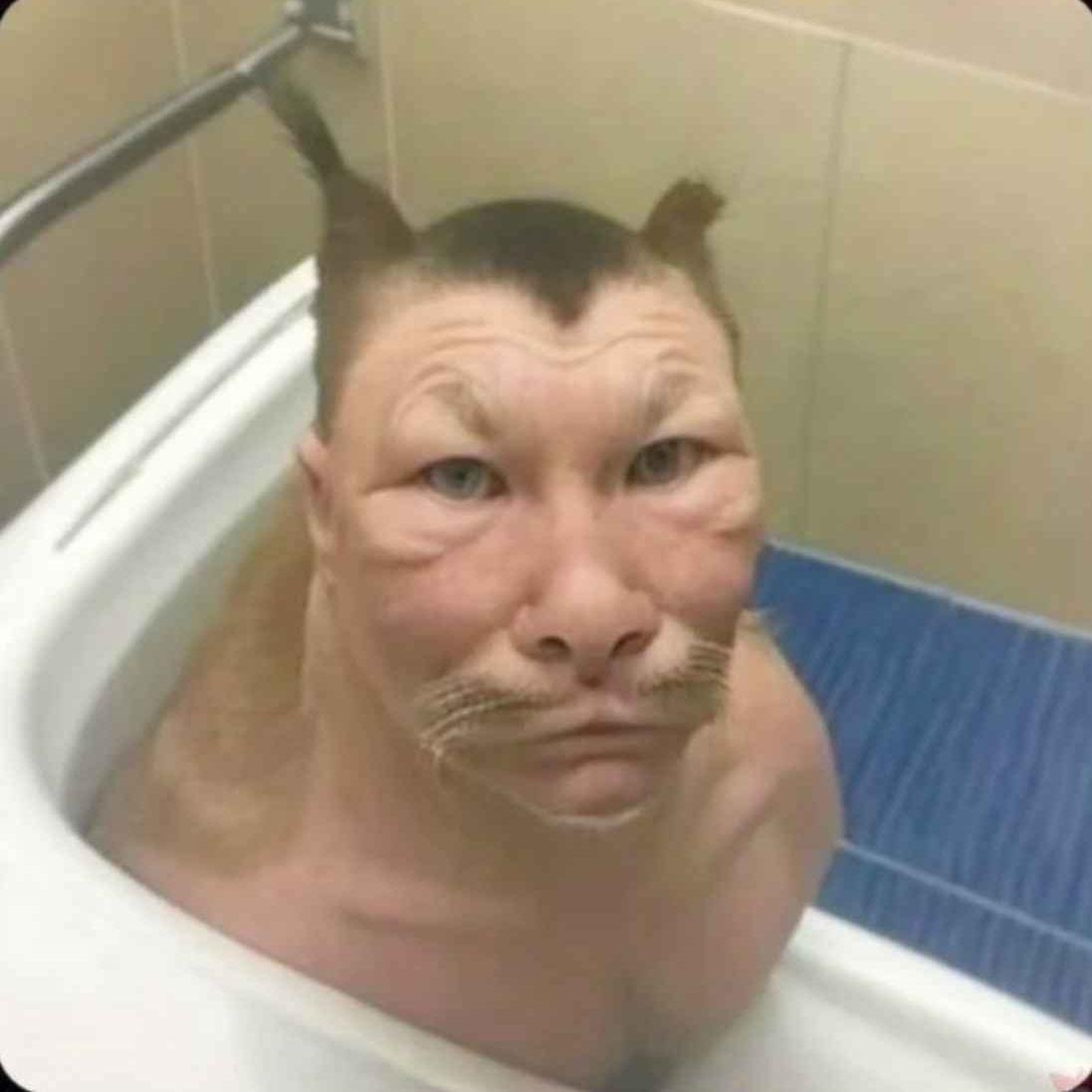 FoxZero1337 avatar