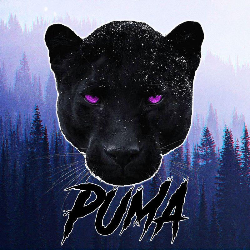 PumaChief avatar