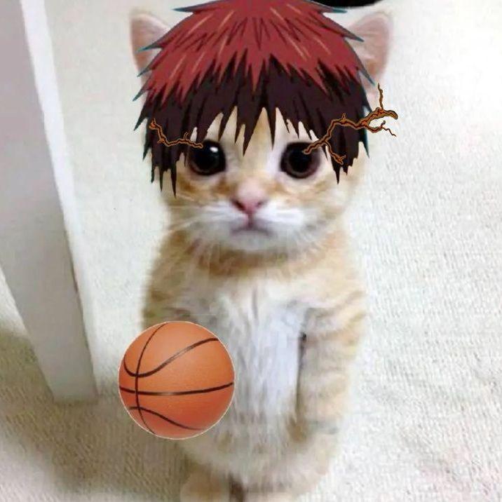 tazybtw avatar