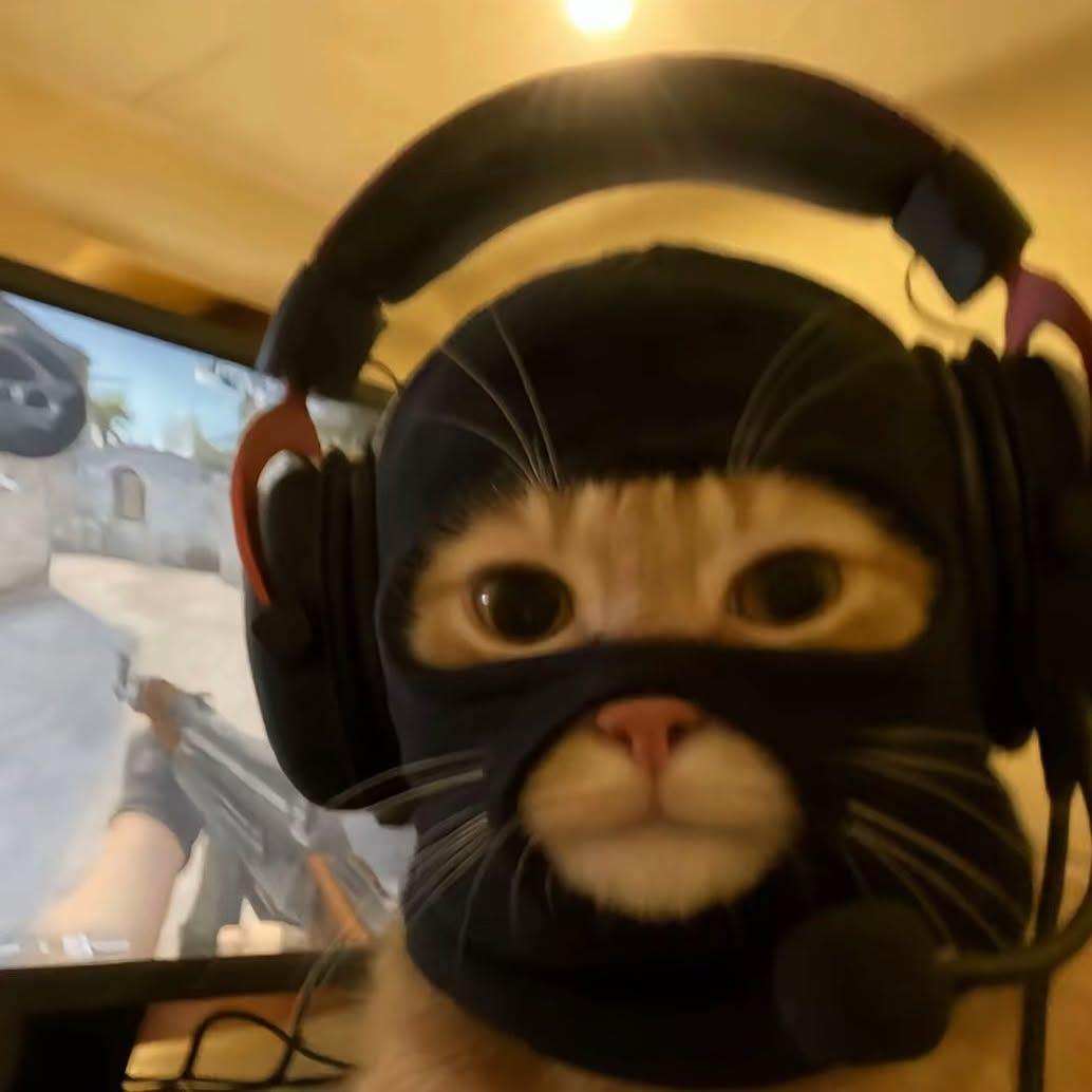 h1tchM avatar