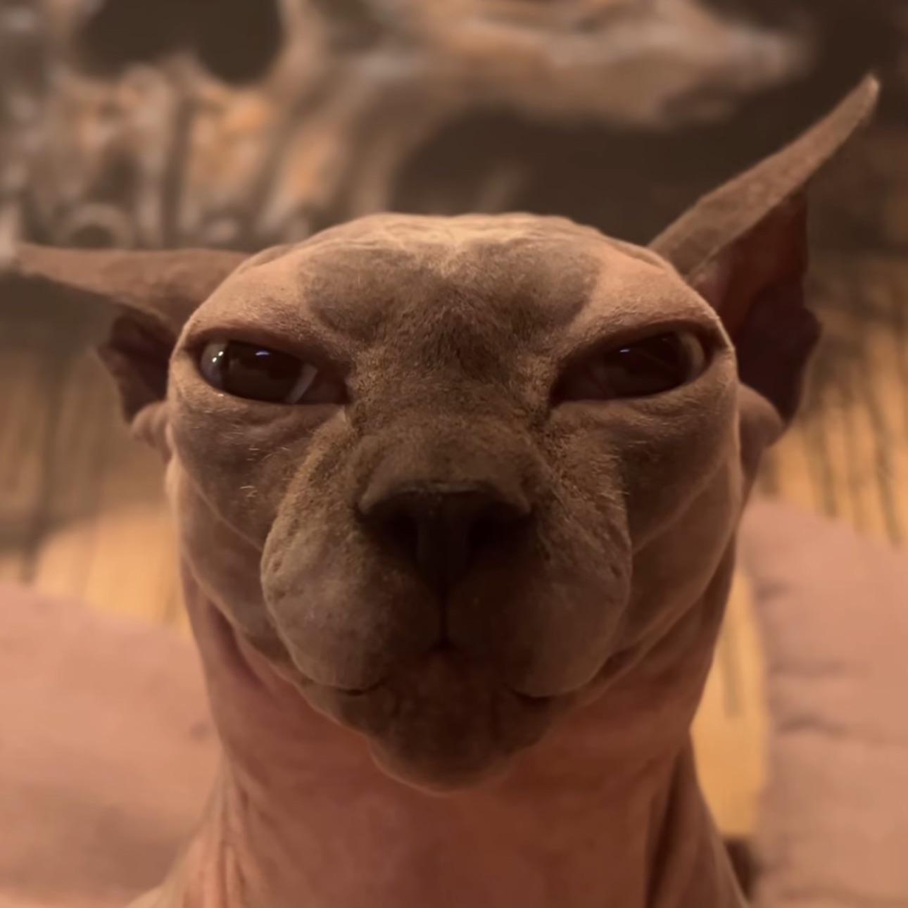 BrotherKoba