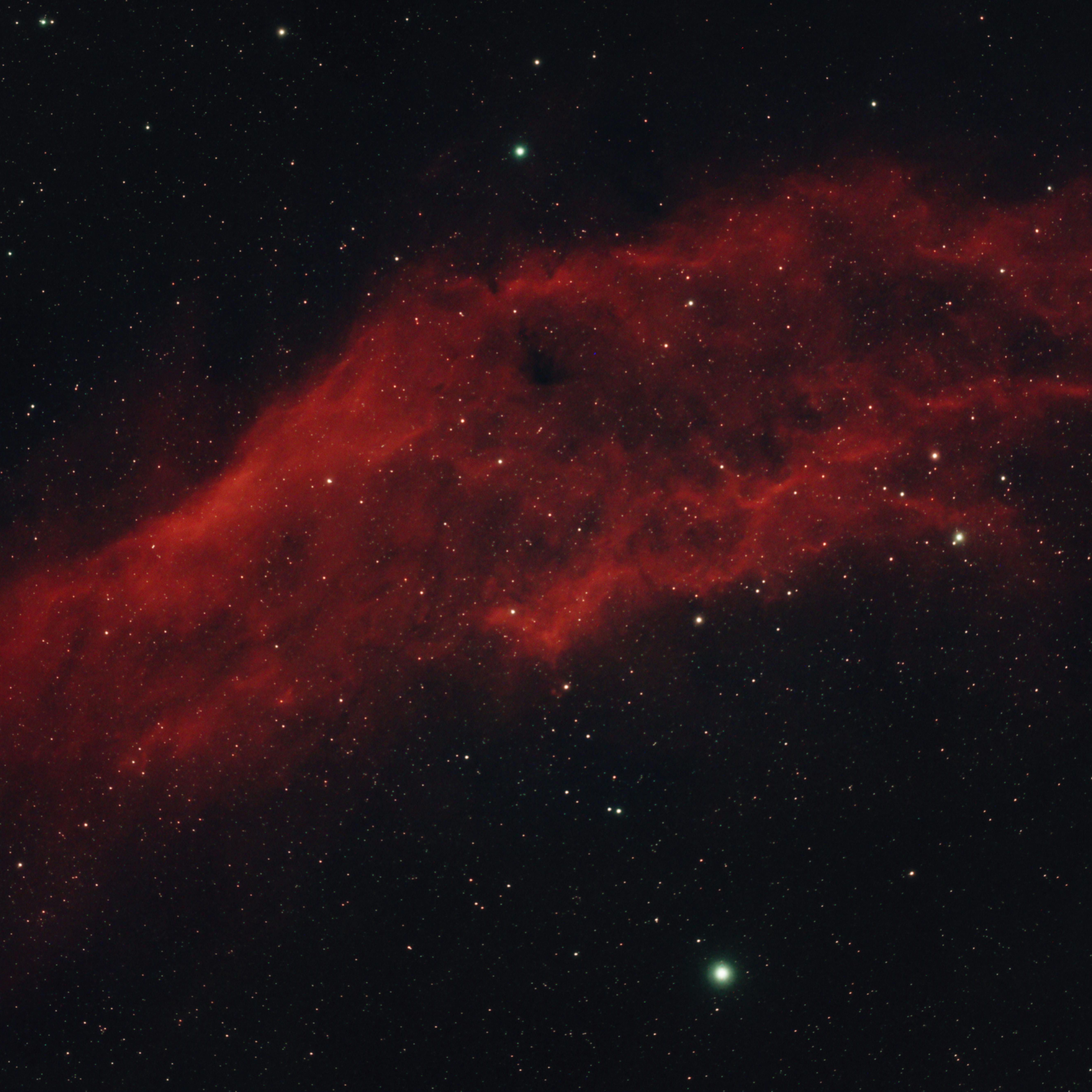 Maniula005
