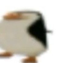 pingWIN