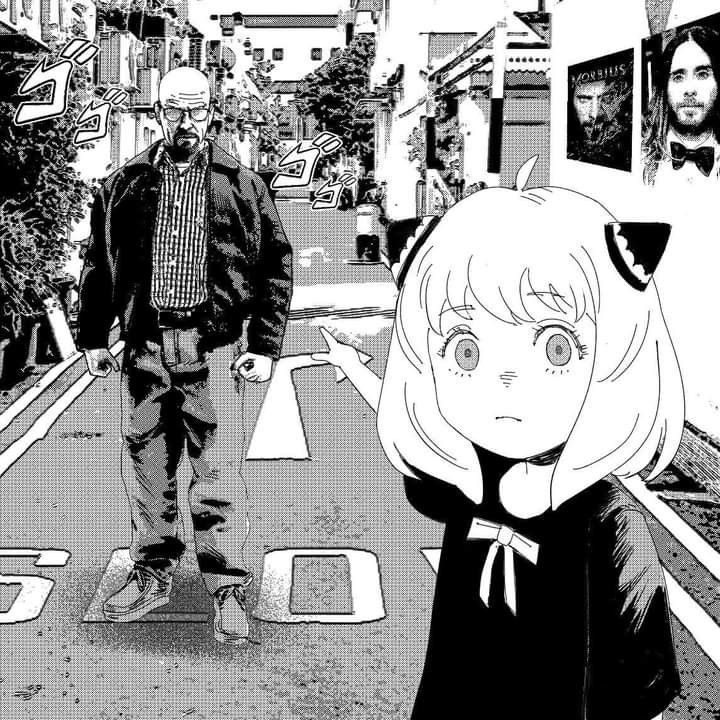 bingouy