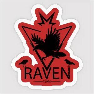 Raven team 18. Team Team наклейки. Raven Team красный ава. Стикеры LM Team. Raven Stickers.