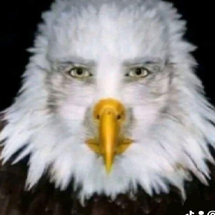 leonthehater avatar