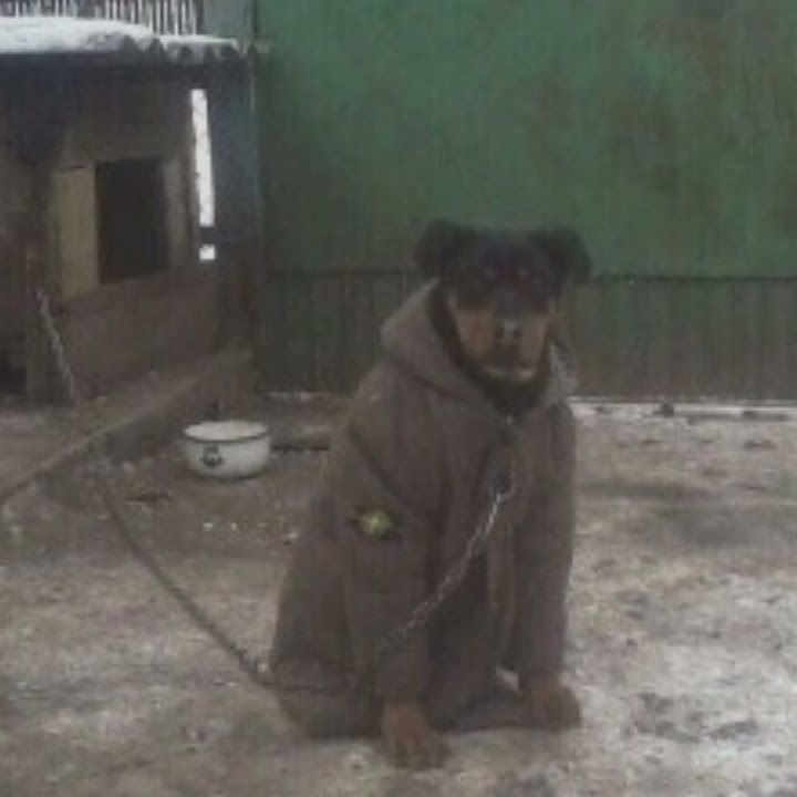 ashka