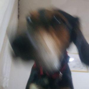 matsko123 avatar