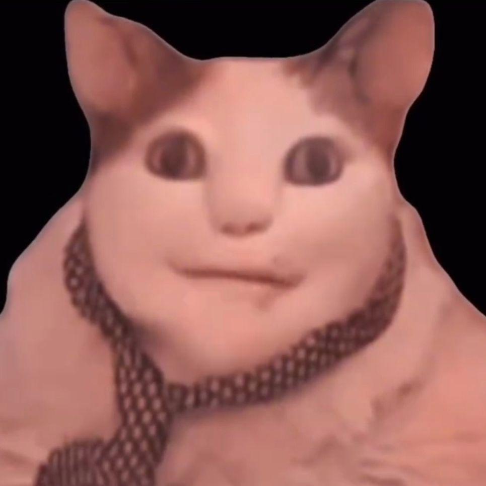Zoch_ avatar