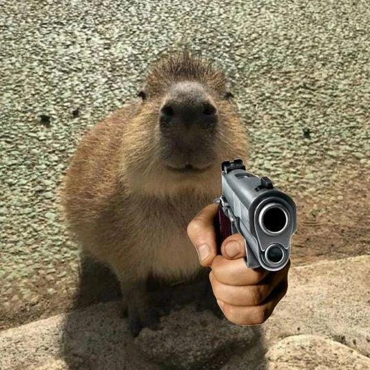 capybarqq avatar