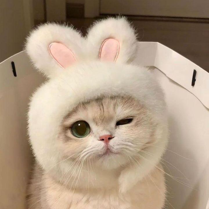 Oppalyshka avatar