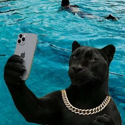 Black Panthers