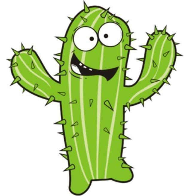 ProCactus avatar