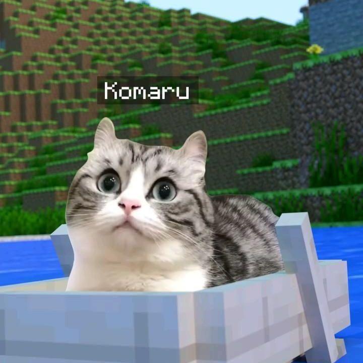 Rostrot avatar