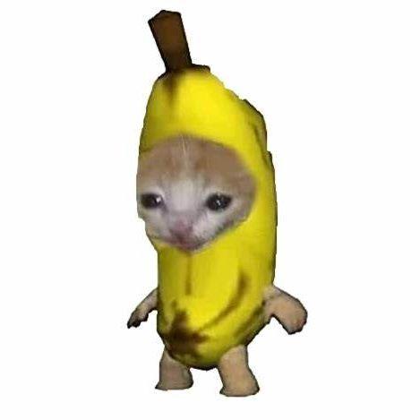 MusKancik avatar