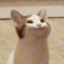 1ntz3