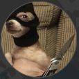 Faceit Avatar