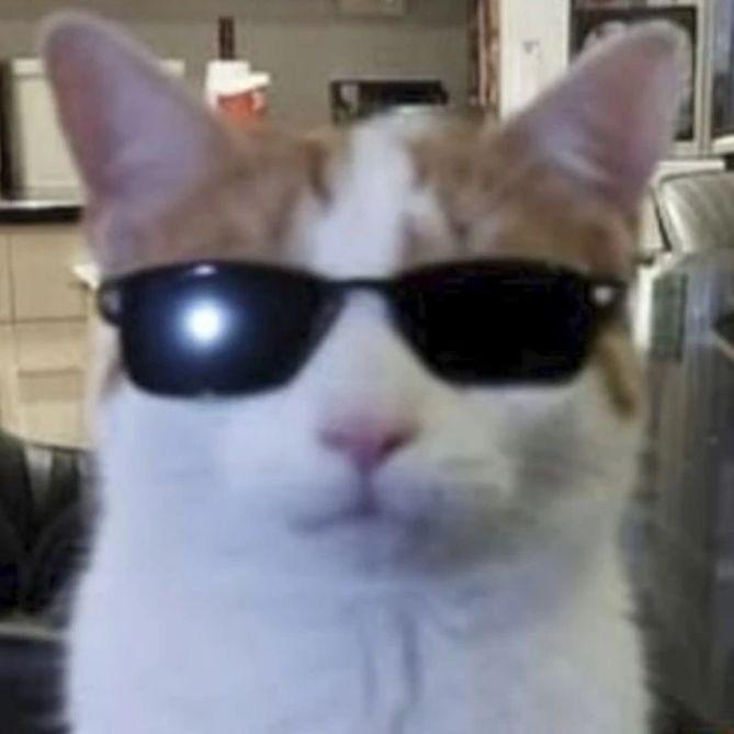 skibidirizz