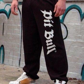 iP1tBull