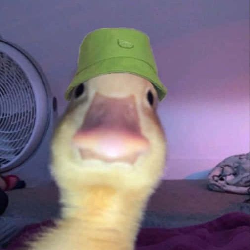 LILskill69