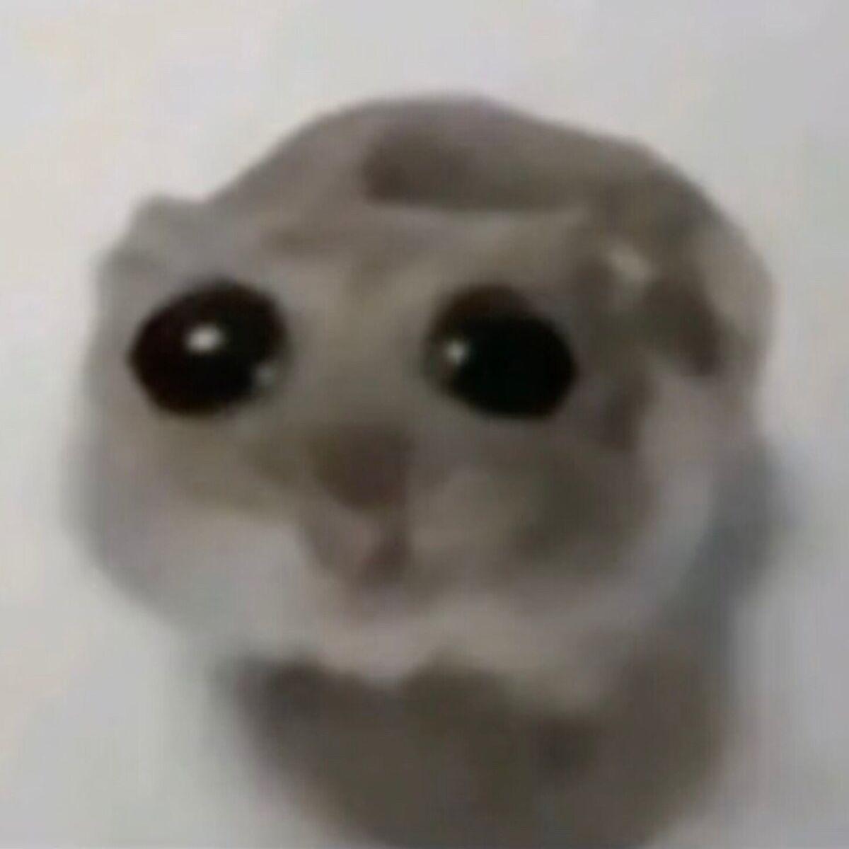 alicjauwu avatar