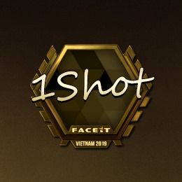 1ShotMVP