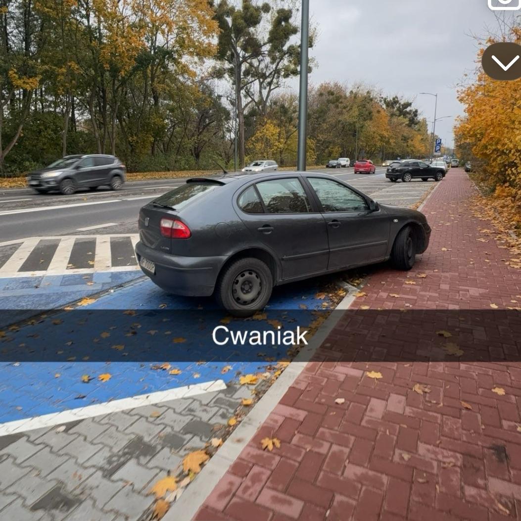 awruk69