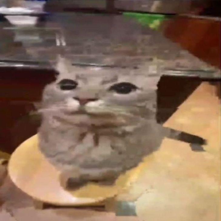 lollis_ avatar