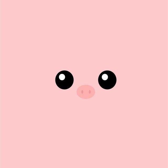 rujuAK47 avatar