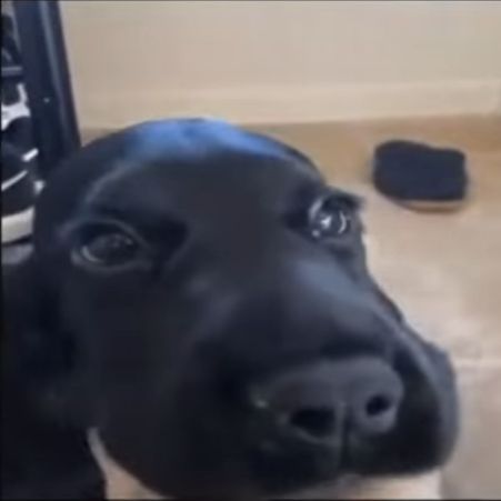 uch00