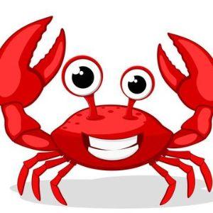 Player crabdy avatar