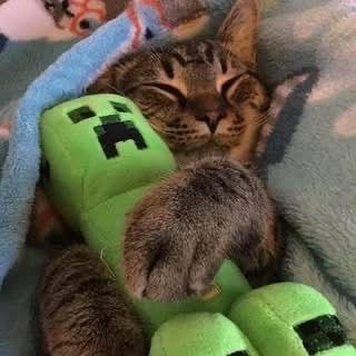 mwnejroo