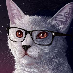 kitten51 avatar