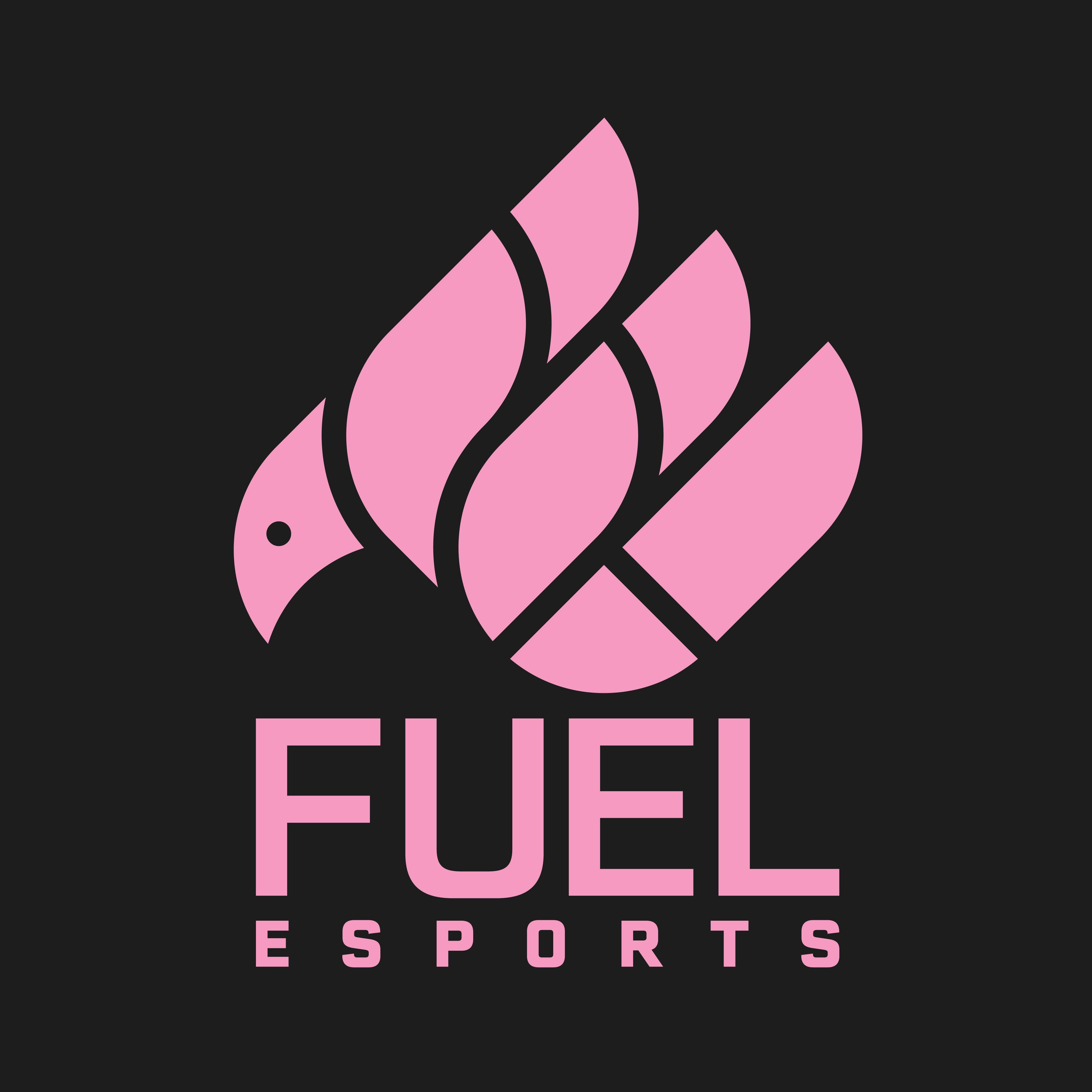 Fuel Esports