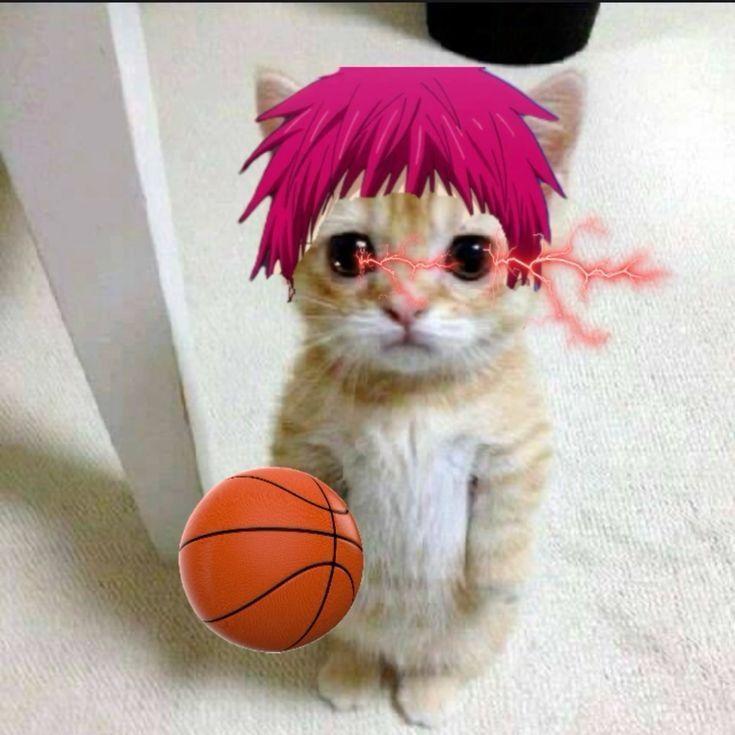 osakku