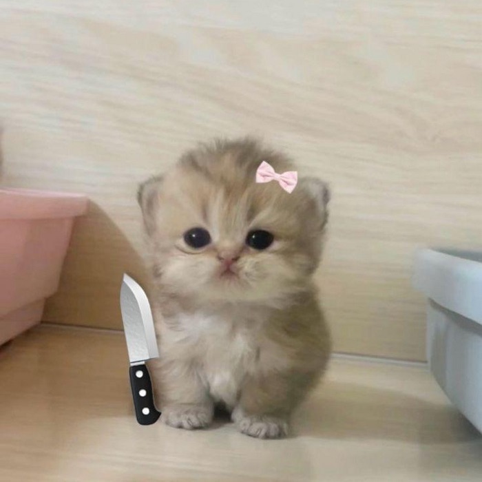 maaaaalinkaa