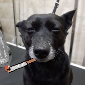 putedo